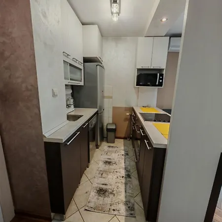 Apartment Miladinovic *